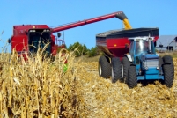 Whats in Season photo